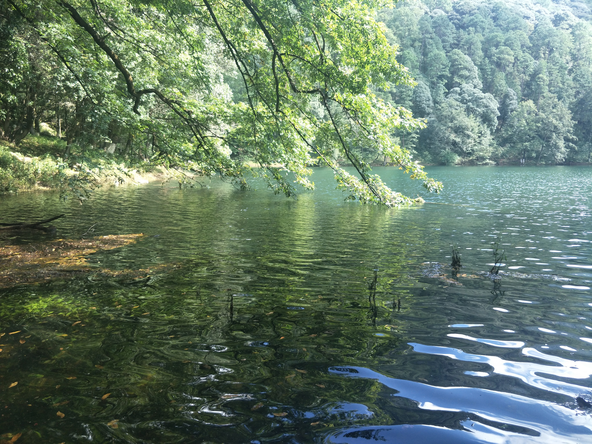 德昌市区值得去的地方,德昌什么地方值得去旅游