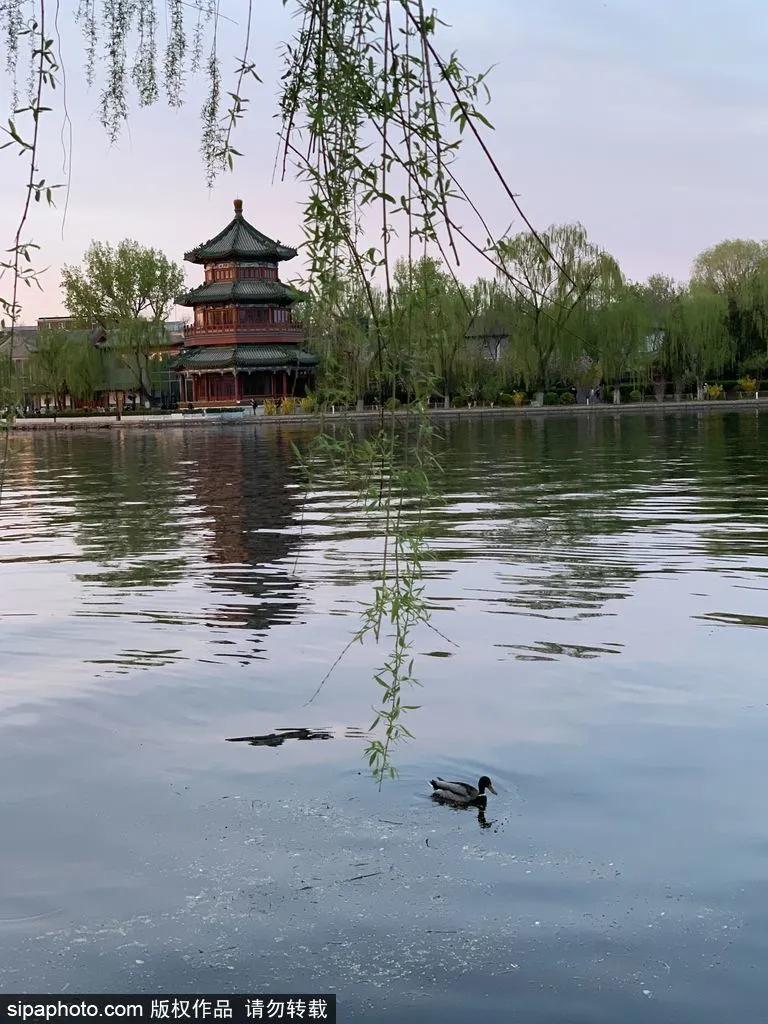 北京不需要预约免费的打卡地,不需预约打卡地北京
