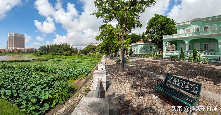 龙环葡韵拍照攻略,龙环葡韵照片