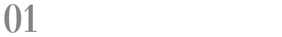 猫包应该选择什么样的,猫包应该是什么样的