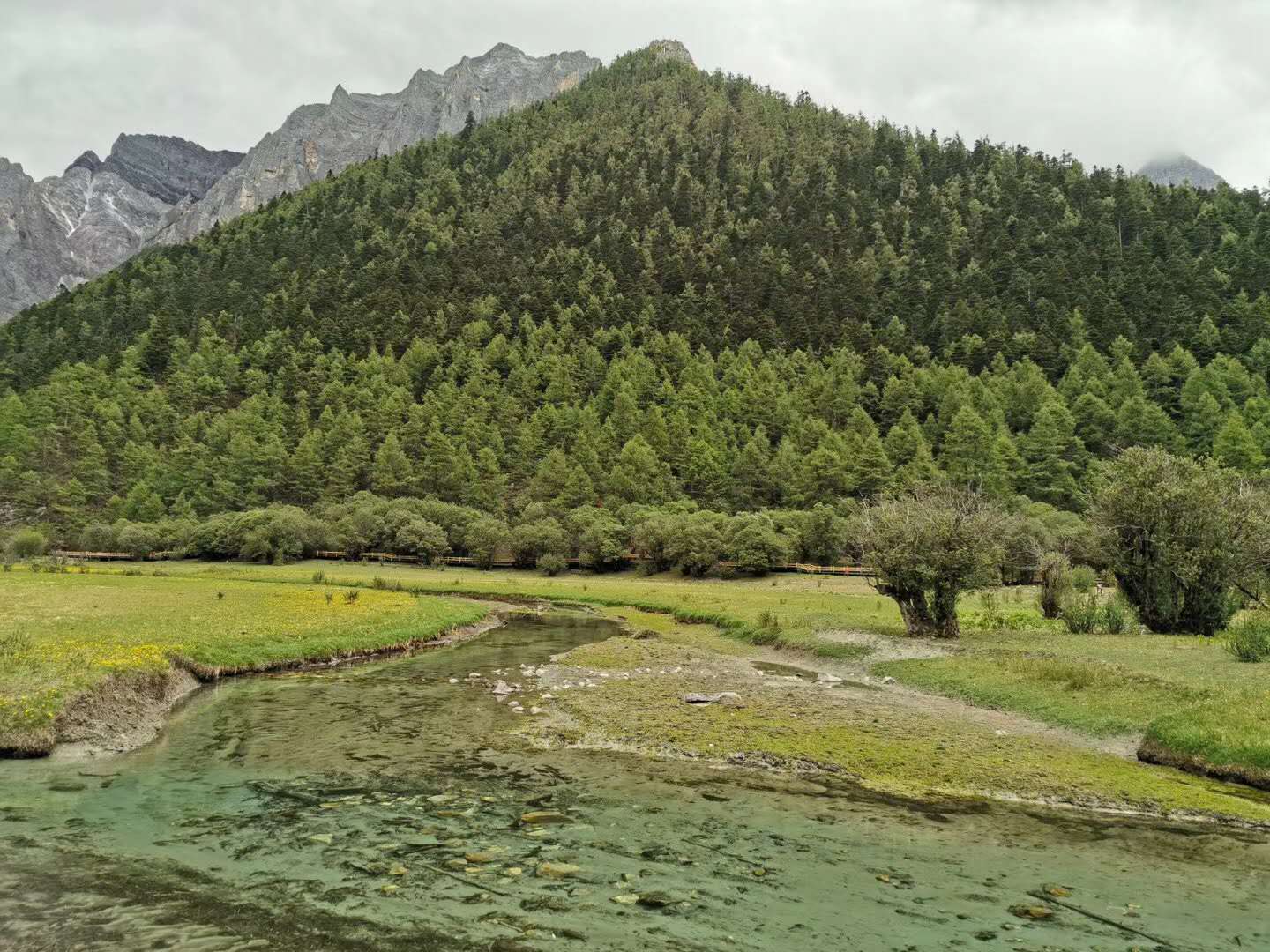 稻城亚丁5月还是7月去,稻城亚丁攻略几月去最好