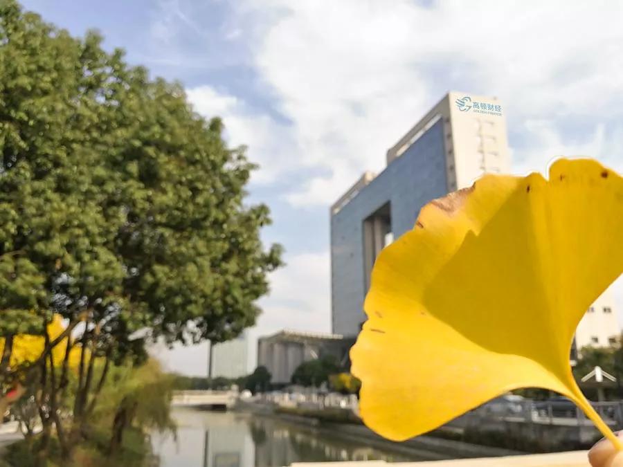 学金融完了吗,学会计的你目前怎么样