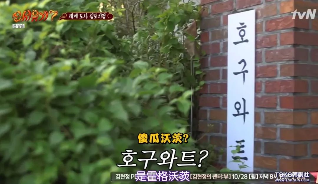 开播又到9.7的神作，主创竟然承认「抄袭」？