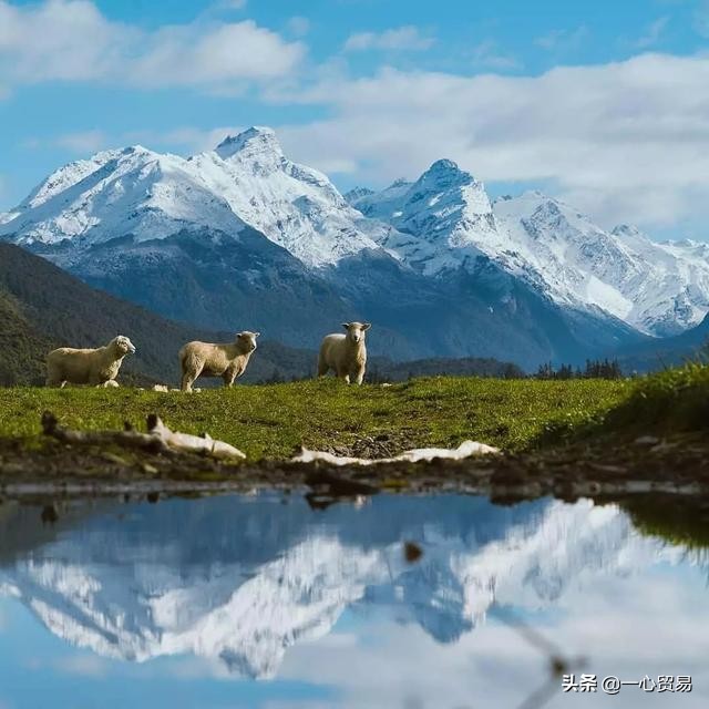 环绕在上帝怀抱中的圣土—新西兰