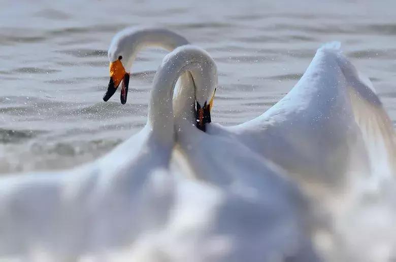 中国最具幸福感县级市江浙,中国最具幸福感县级市名单