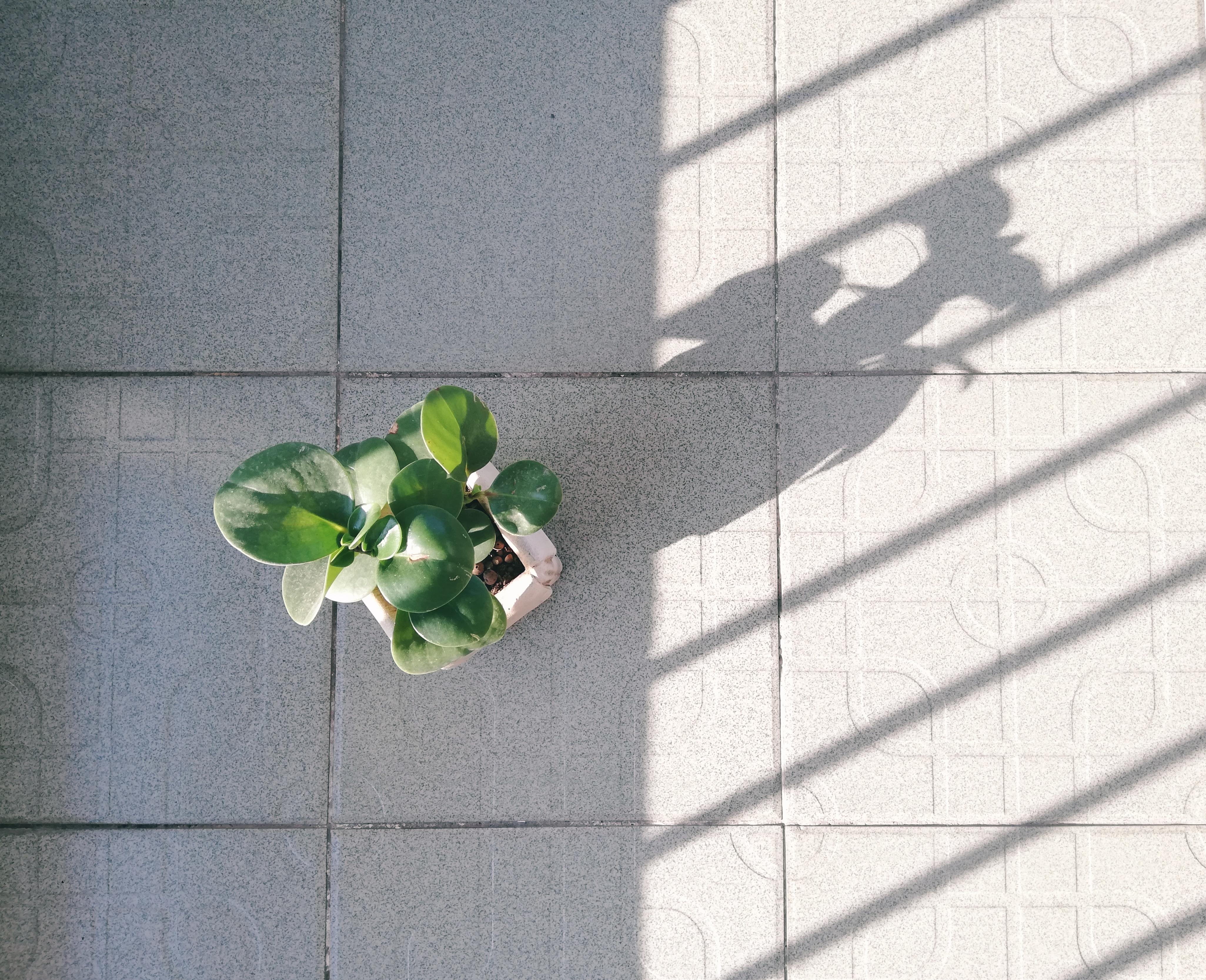 我喜欢摄影的三个原因,浅谈摄影技术与艺术