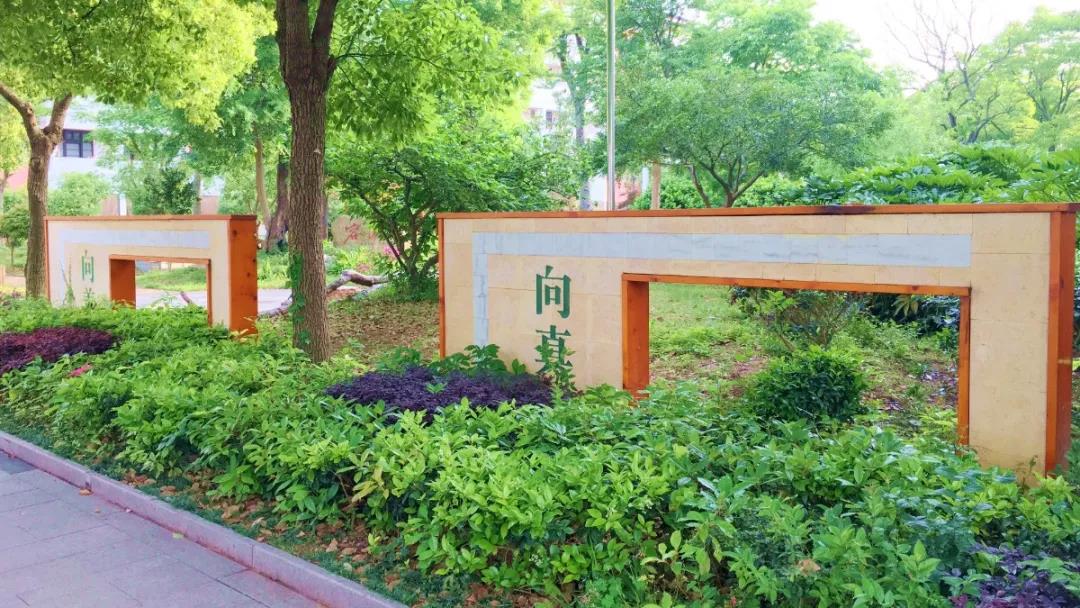 美景宜人更育人