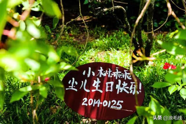 三亚丽思卡尔顿可以参观吗,三亚丽思卡尔顿适合带孩子吗