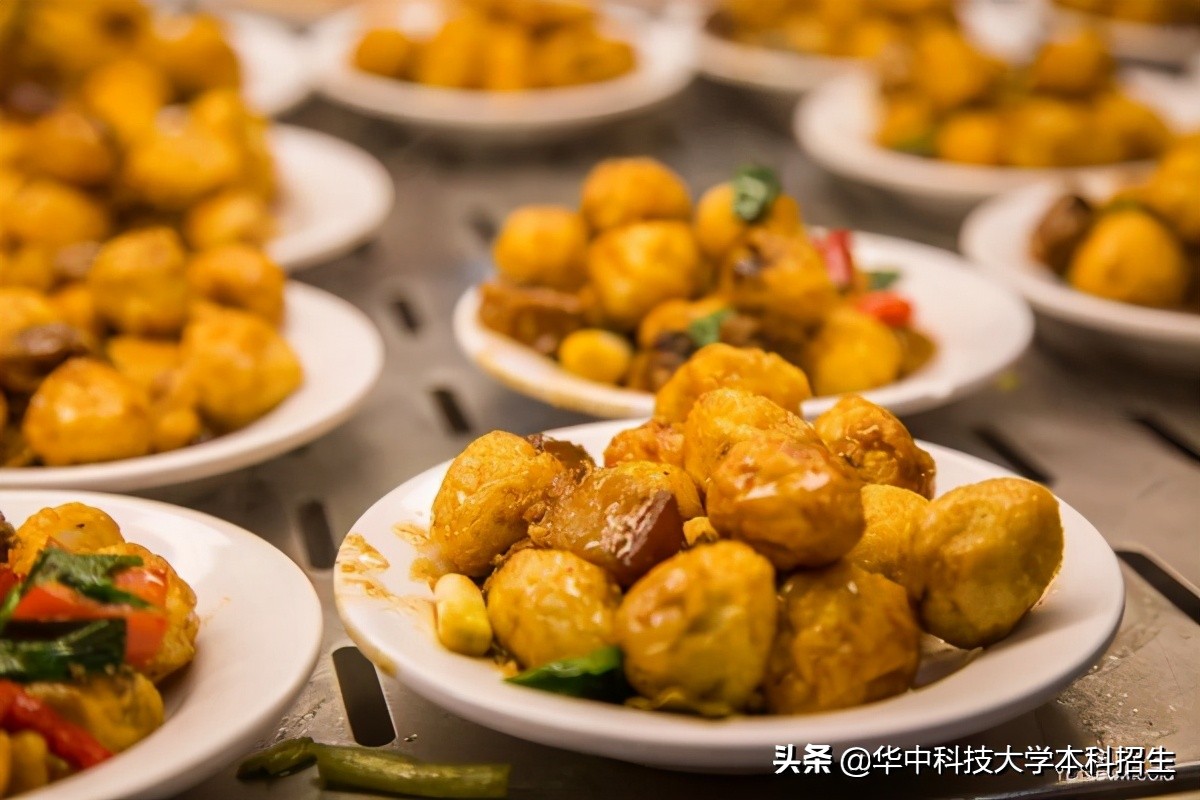 坐拥18位院士,培养出年薪200万的天才少年,华中科技大学超硬核!