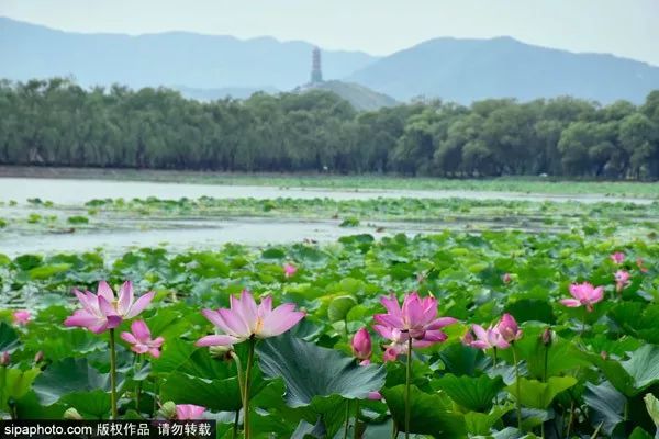 北京一类卡办理需要什么条件,北京生活办哪些卡