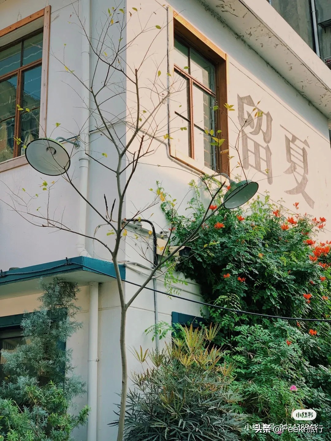 榛勭鎷嶆垙鍙ら晣,娴欐睙杩欎釜鍋忓兓鐨勫皬鍘垮煄