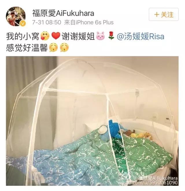 蚊帐成天价抢手货,拔罐变灵丹妙药,在外国人眼里,中国这么牛