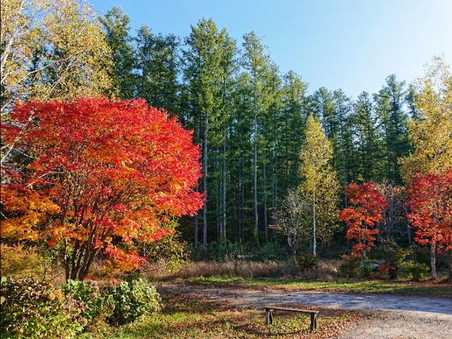 日本从南到北旅游路线,从南游到北