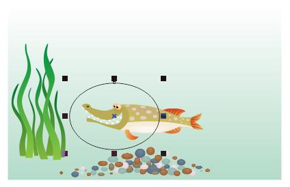 cdr鱼眼在哪里,cdr鱼眼使用教程