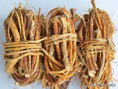 堪称广东的人参,广东人参叫什么