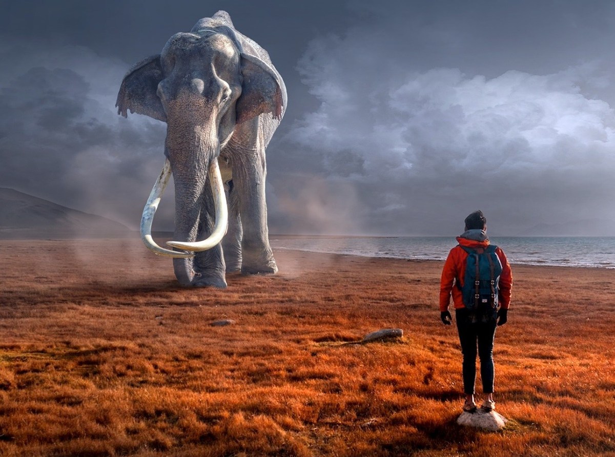 科学家真的检测猛犸象的dna吗,科学家为什么不克隆猛犸象