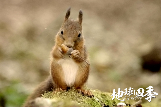 观赏地球的壮丽景观,看地球四季变换的视频