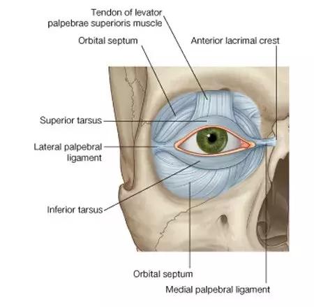 暧昧行为后遗症,爱美人士的危害
