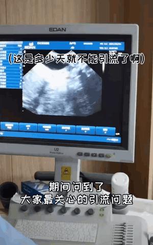 博美怀孕了会怎样,二哈让博美怀孕