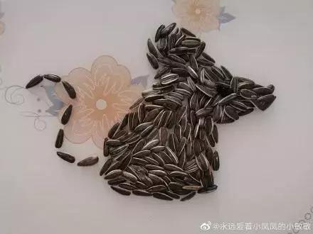 在家憋着干啥挣钱,在家憋着可以玩什么游戏