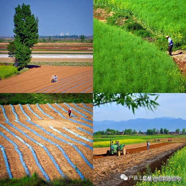 诗画鄠邑摄影大赛,鄠邑区诗画