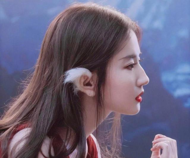 水滴鼻与鹰钩鼻之间的鼻型,男士水滴鼻的鼻型图片