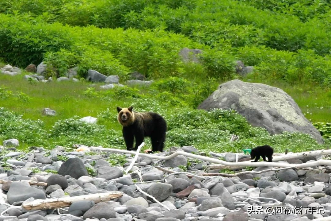 日本的世界遗产一览表,日本世界遗产共有多少项