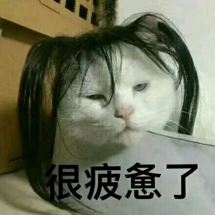 张小波凤凰联动董事长,凤凰传媒张小波完整版