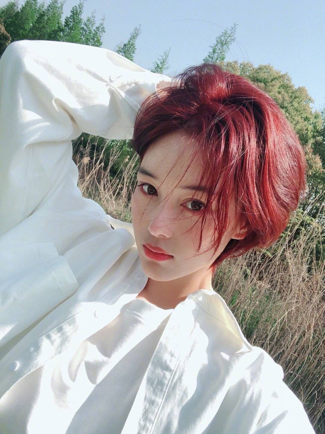 张馨予白头发,张馨予长发回归