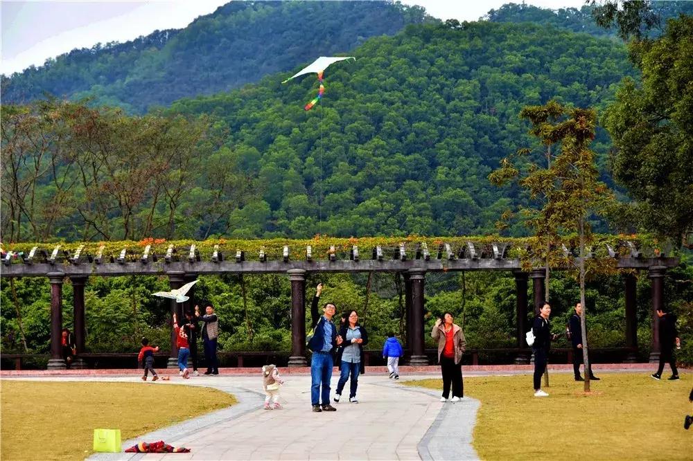 郑州春节周边景区免费景点大全,春节赏花的好去处