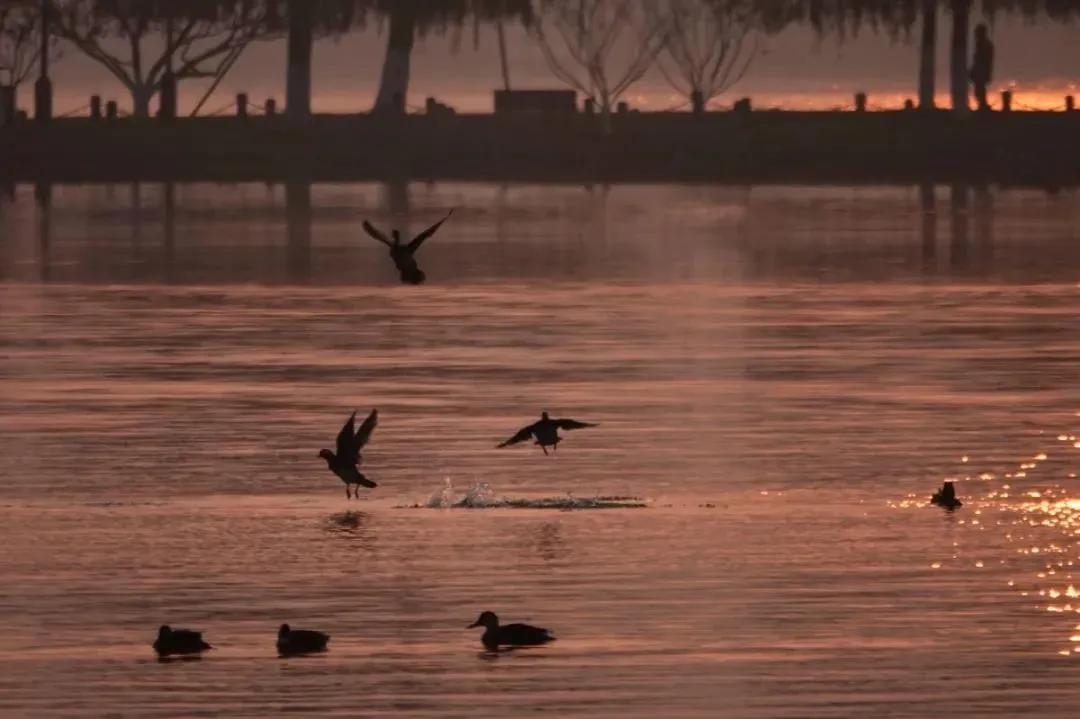 来到江南观美景,来江南感受一下文化气息