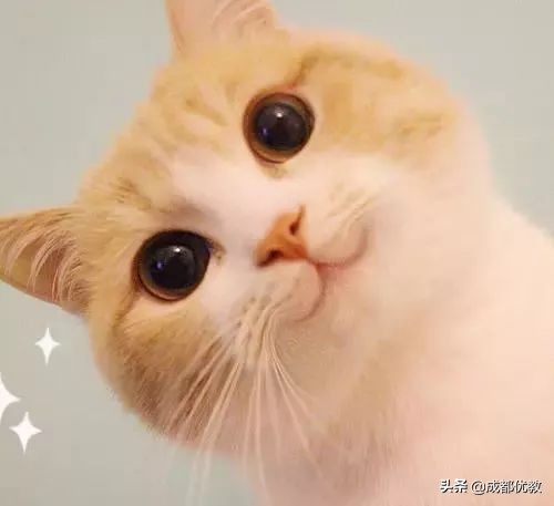 做足功课量力而行,做足功课