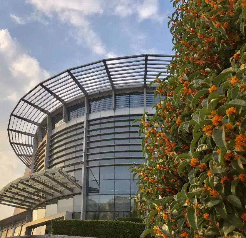 江苏省淮阴师范学院图片,江苏高校简介淮阴工学院