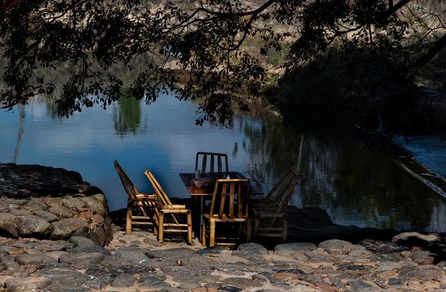 做过苏州东山的采茶女，我才品出了这世间的甘甜