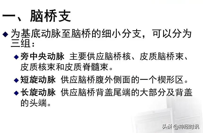 脑动脉解剖学讲解,脑膜中动脉解剖讲解