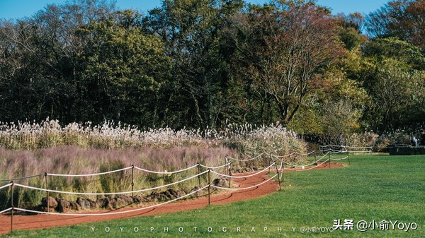 济州岛最值得去的地方,来济州岛第一天去哪玩