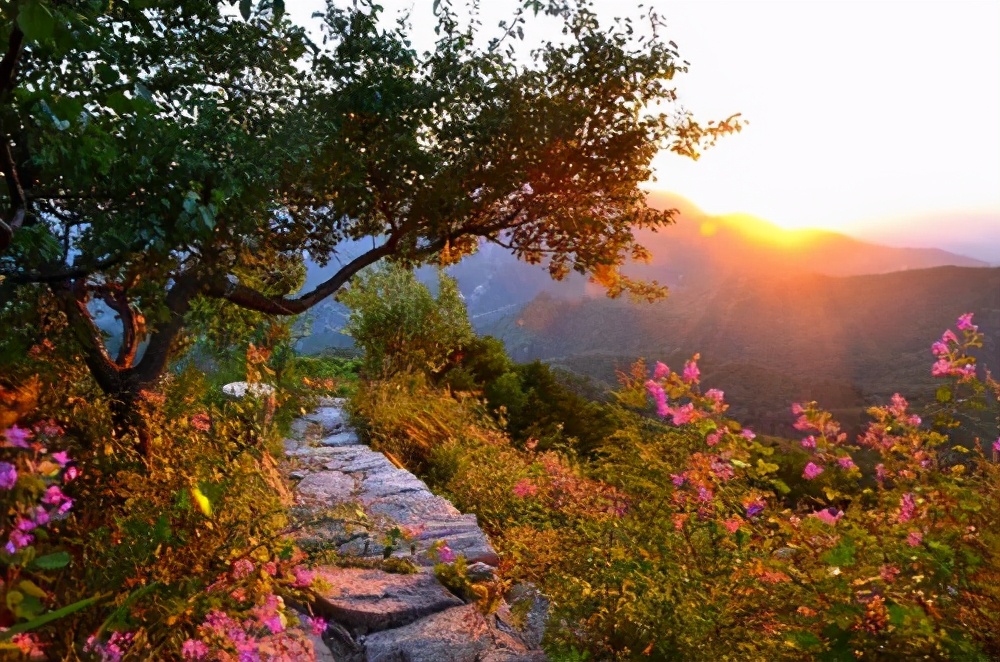 石家庄4a级景区名单,2021年12月石家庄市十大旅游景区