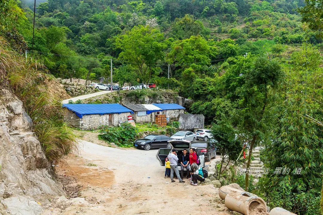 在天露山杜鹃花海丛中劲跳广场舞，这帮广东大妈又火了