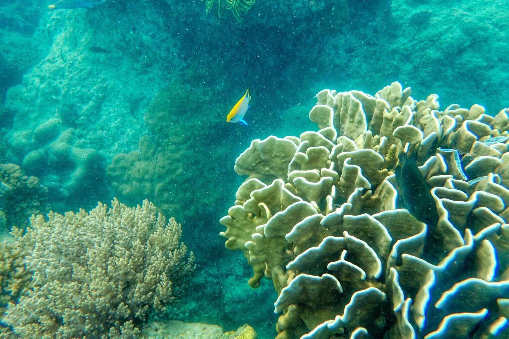 印度尼西亚天堂小岛,千岛之国印度尼西亚