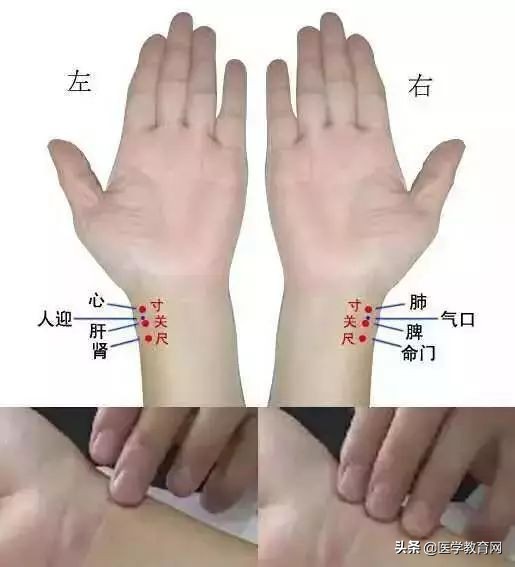 神奇的把脉秘诀教你如何把脉,把脉入门教学