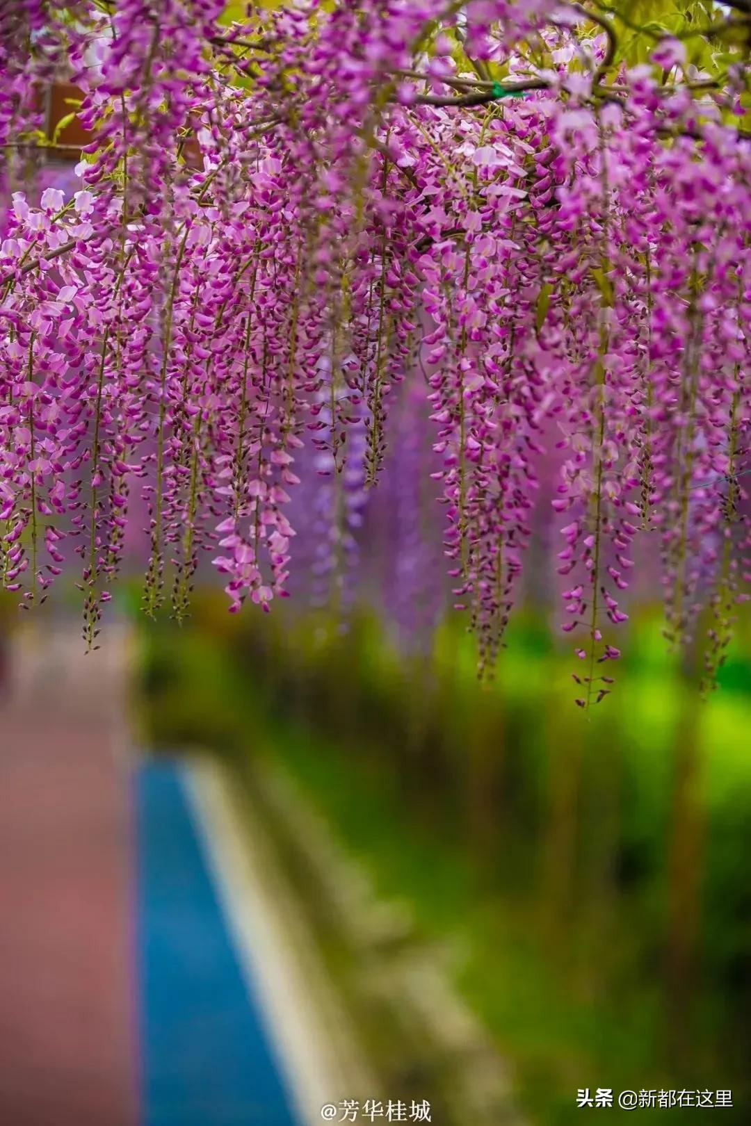 这才是9月最值得去的地方,4月最值得去的地方