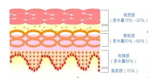 角质层比较薄的皮肤怎么保养,皮肤角质层薄大红脸用什么产品