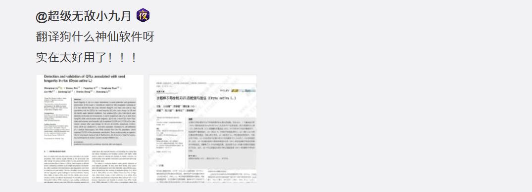 如何免费使用翻译狗,翻译狗文档翻译