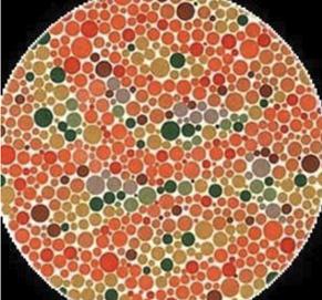 公认的六张色盲图,驾照常用的色盲图