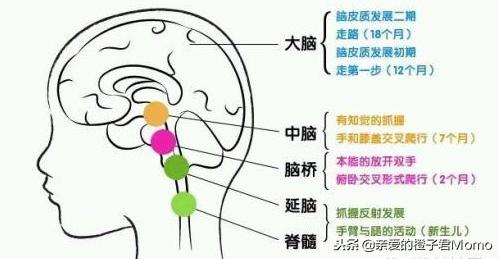 宝宝不能光脚穿鞋吗,宝宝不愿意穿鞋袜怎么回事