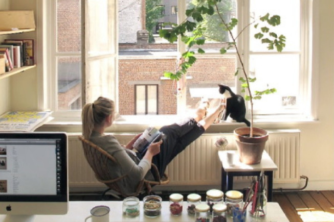 养猫技巧猫咪生活小常识猫咪饮食,如何让猫咪作息时间跟铲屎官一致