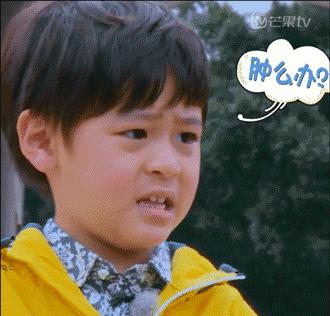 小长假堵路段,小长假堵在路上