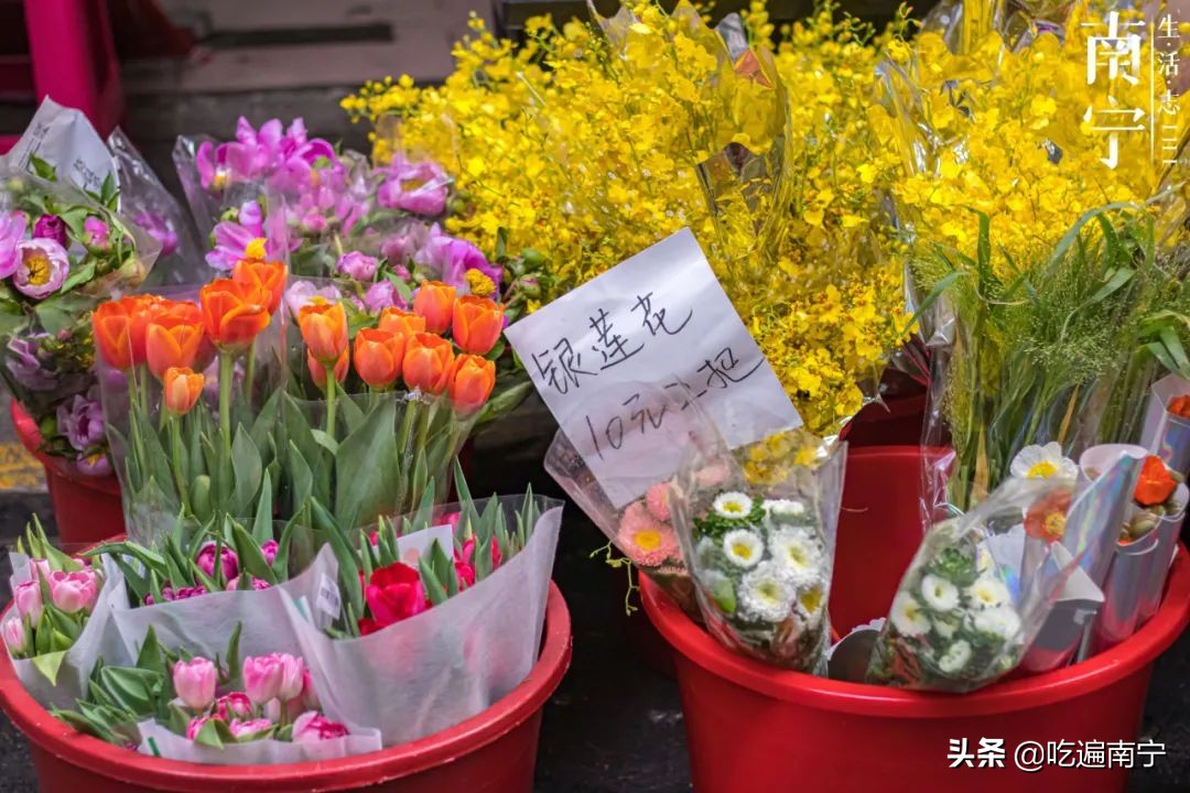 南宁七星路花市,南宁一条花街