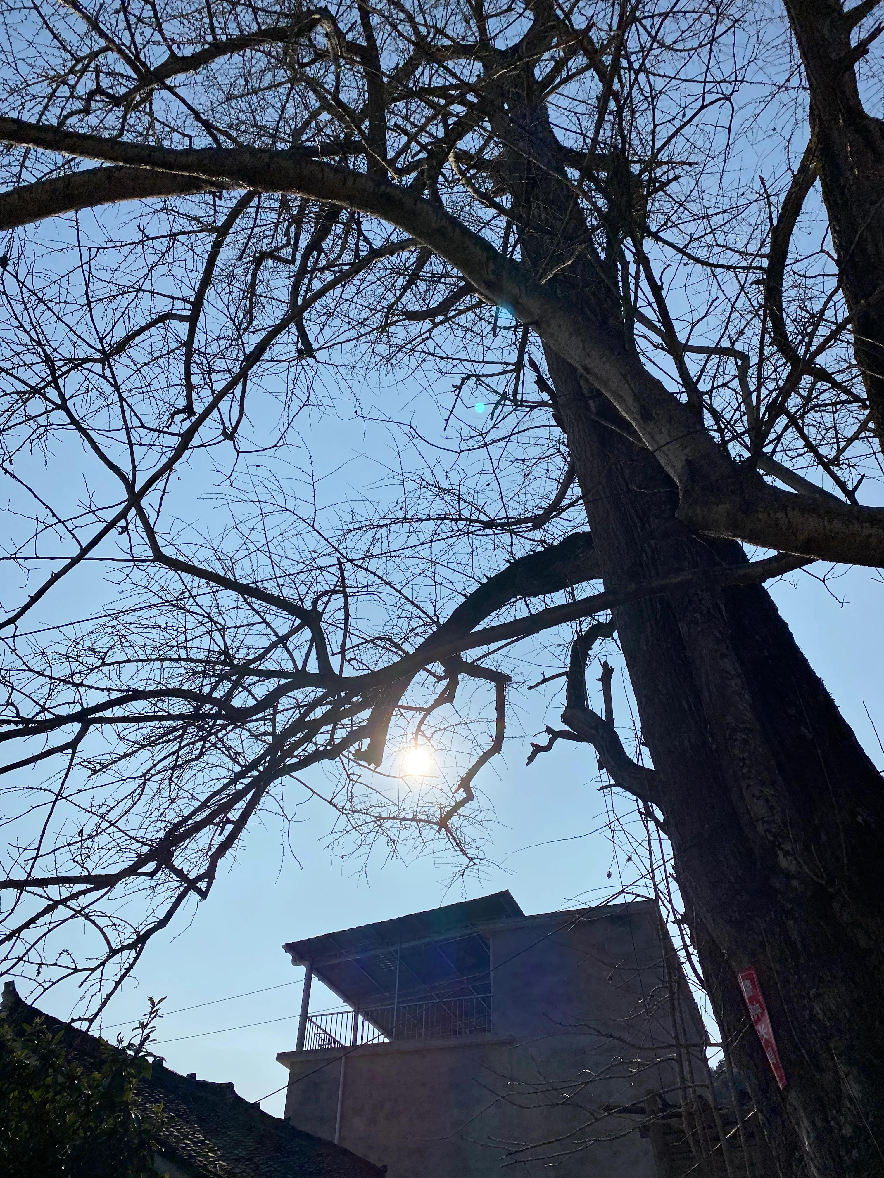 我来自哪里用英文介绍,我来自哪里英文句型