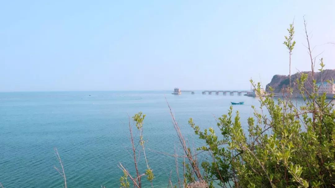 辽宁省高校（三十一）大连医科大学